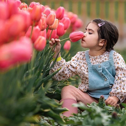 Young Girl Smelling Pink Tulips
