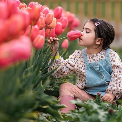 Baby Animals and Blooms Days | Maris Farms