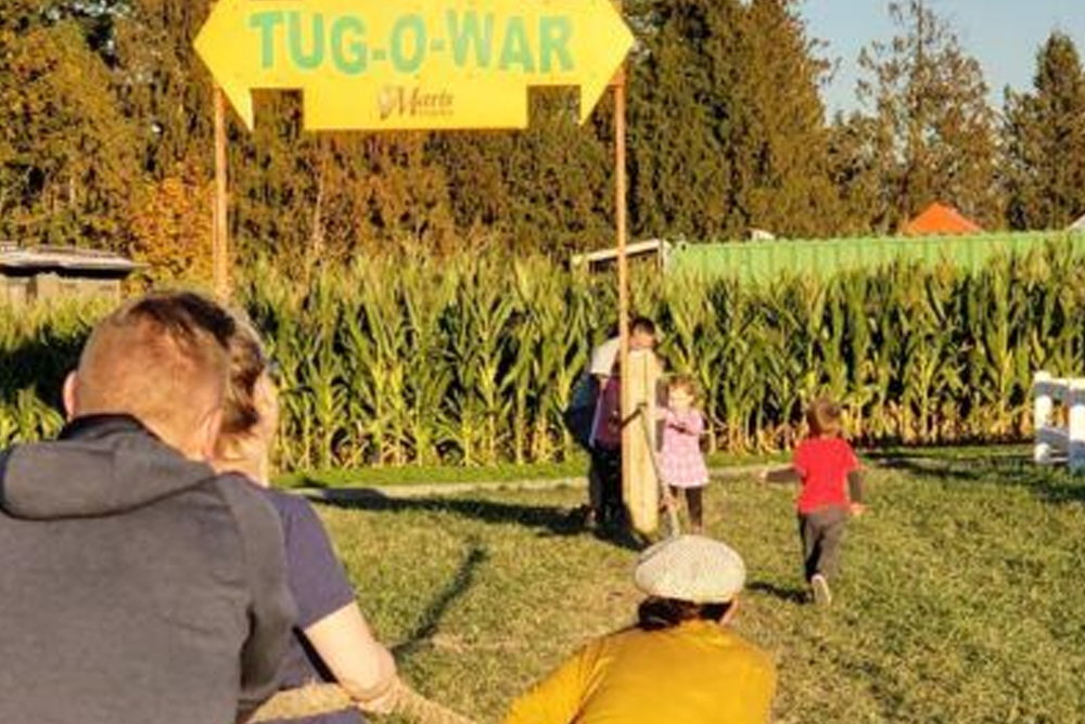 Guests Playing Tug O War